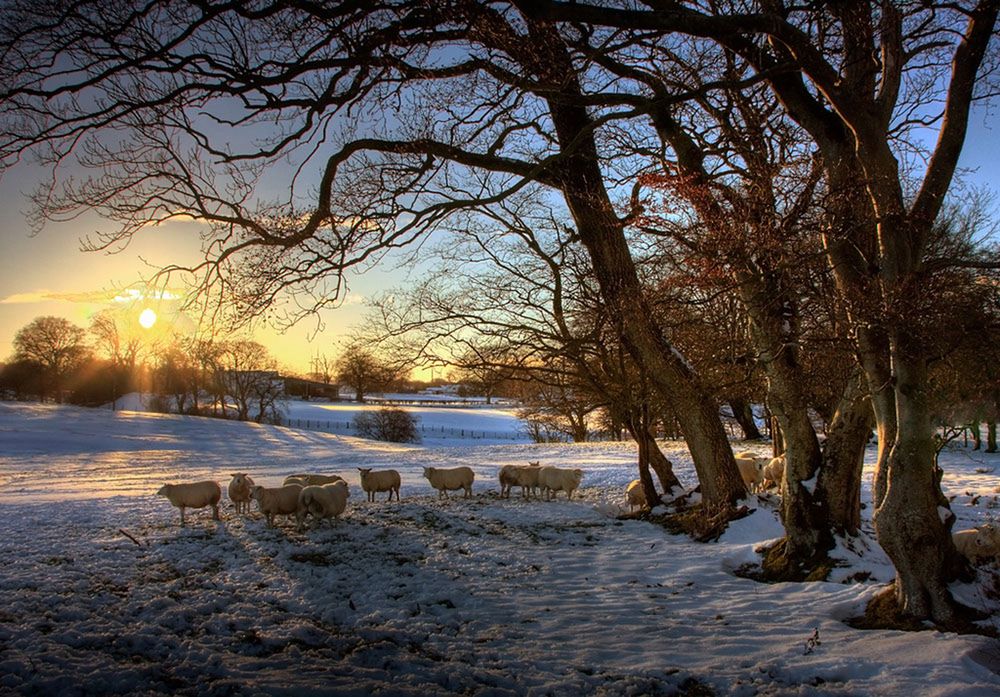 Polak najlepszym fotografem amatorem w Europie 19