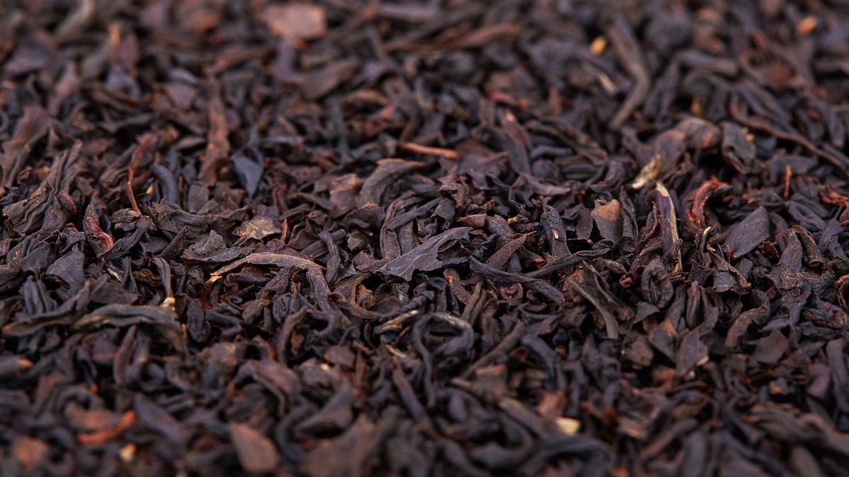 Picie herbaty ma znaczące korzyści zdrowotne. Zmniejsza ryzyko wystąpienia udaru i zakrzepów