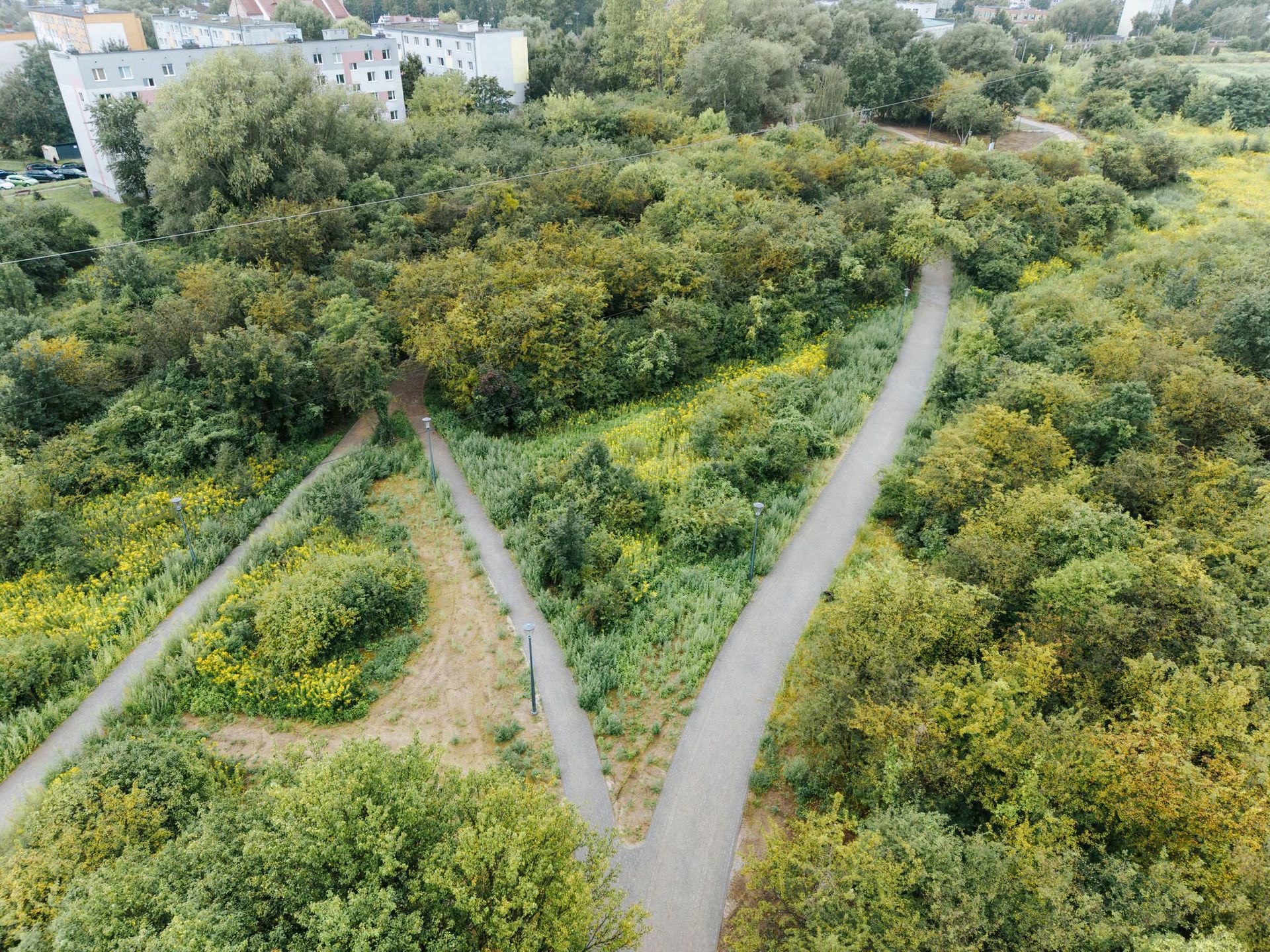 Park na Międzytorzu w Płocku 