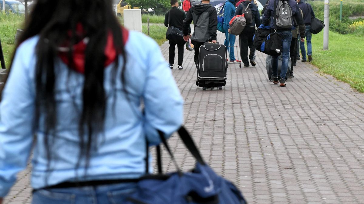 W POlsce do ZUS zgłoszonych jest ponad pół mln Ukraińców