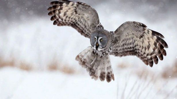 Niesamowity film, który powstał w całości z nieruchomych zdjęć 1