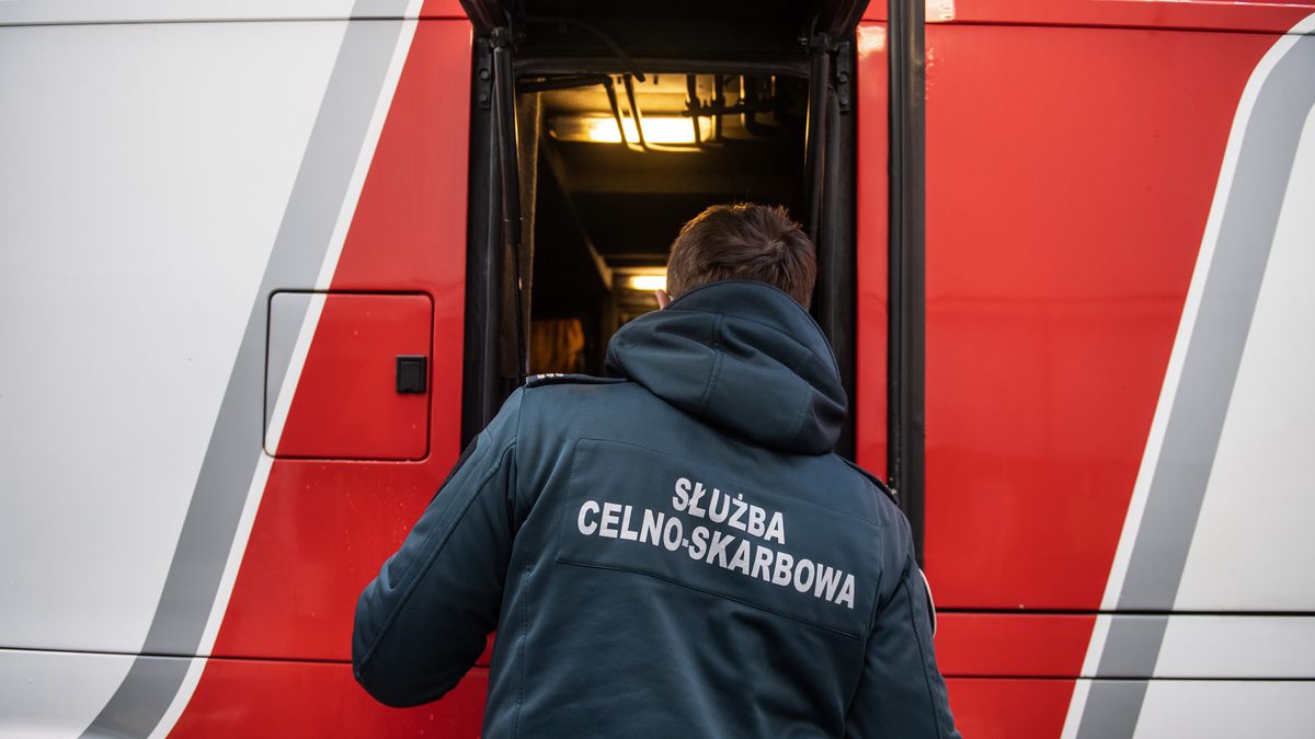 Służba celno-skarbowa
