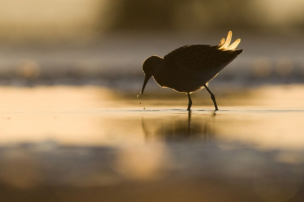 Siena International Photography Awards - Mateusz Piesiak nagrodzony po raz kolejny 9