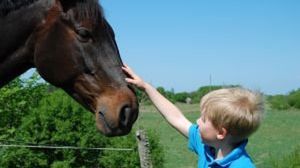 TOP 7 - Eko-prezenty na Dzień Dziecka 1