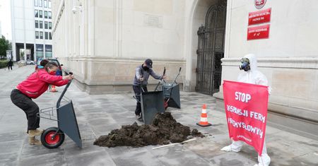 Ekolodzy wysypali łajno przed ministerstwem rolnictwa. Protest przeciwko fermom przemysłowym