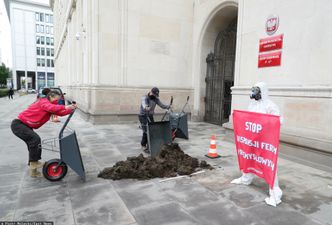 Ekolodzy wysypali łajno przed ministerstwem rolnictwa. Protest przeciwko fermom przemysłowym