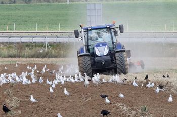 ARiMR zabrała się za sprawdzanie rolników. Na szali dopłaty bezpośrednie