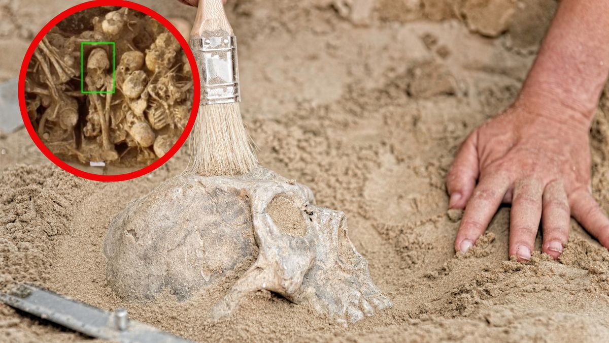 Chaga Sofla stała się miejscem niezwykłego odkrycia