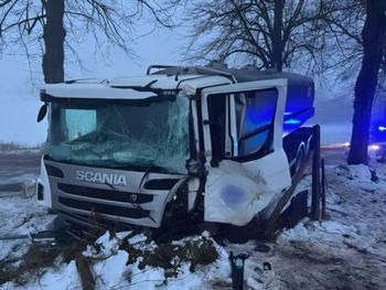 Giżyckie: Kierowca ciężarówki w rowie po próbie ominięcia dzika