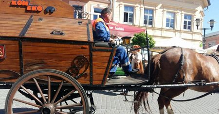 "KOM-EKO" jest naprawdę eko