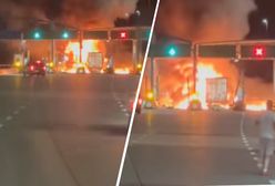 53-latek spod Płocka. Prokuratura ujawnia, kto zginął na A2