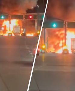 53-latek spod Płocka. Prokuratura ujawnia, kto zginął na A2