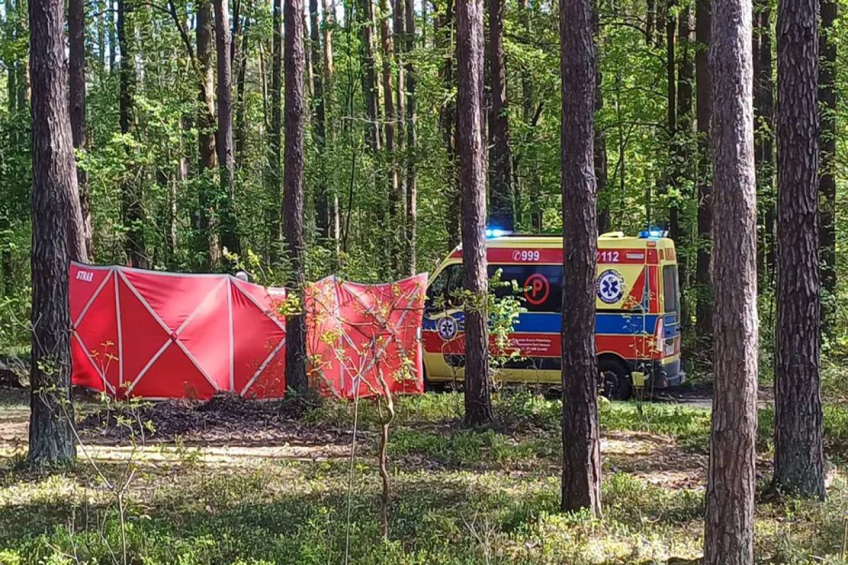 14-latka zmarła po upadku z konia. Jest decyzja prokuratury