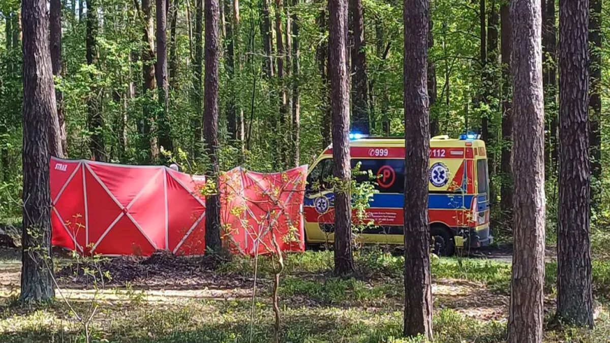 Dziewczynka nie przeżyła upadku z konia