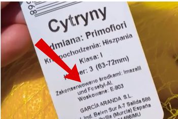 Kupujesz cytrynę? Zanim wrzucisz ją do koszyka, sprawdź jedną rzecz