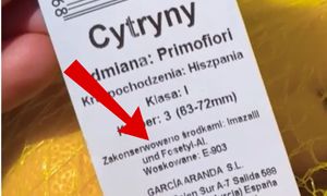 Kupujesz cytrynę? Zanim wrzucisz ją do koszyka, sprawdź jedną rzecz