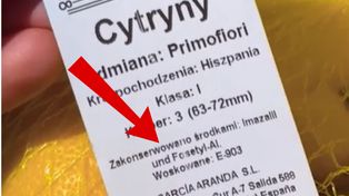 Kupujesz cytrynę? Zanim wrzucisz ją do koszyka, sprawdź jedną rzecz