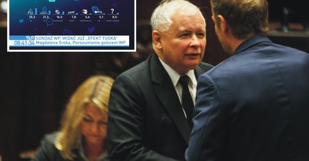 Najnowszy sondaż WP i "efekt Tuska". Reakcja z obozu PiS