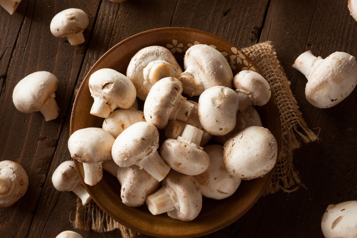Mushrooms have a unique nutritional profile.