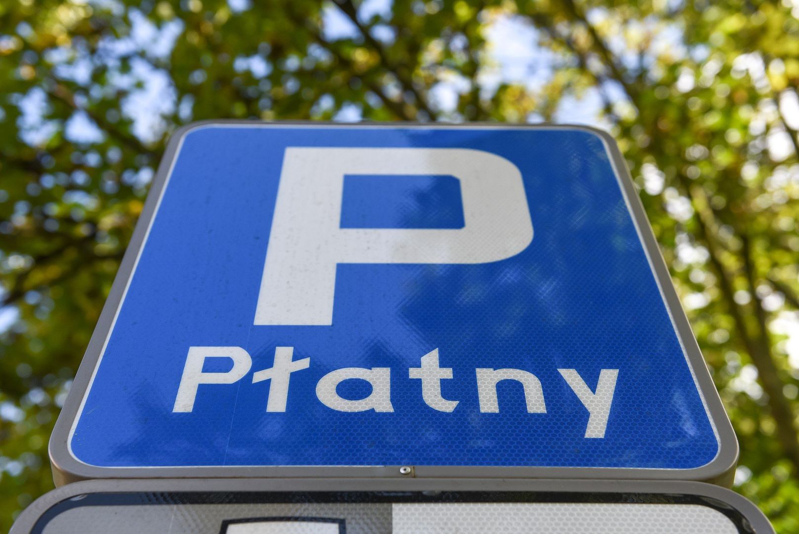 zdjęcie ilustracyjne