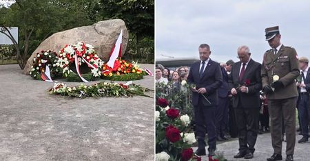 Tymczasowy pomnik dla Polaków w Berlinie. Forma budzi kontrowersje