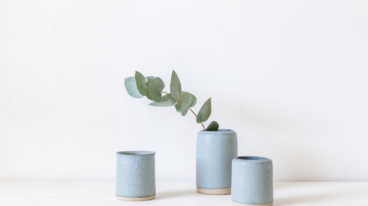 Eukaliptus to roślina o cennych właściwościach leczniczych.