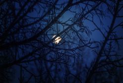 Najkrótszy dzień w roku. Kiedy wypada zimowe przesilenie?