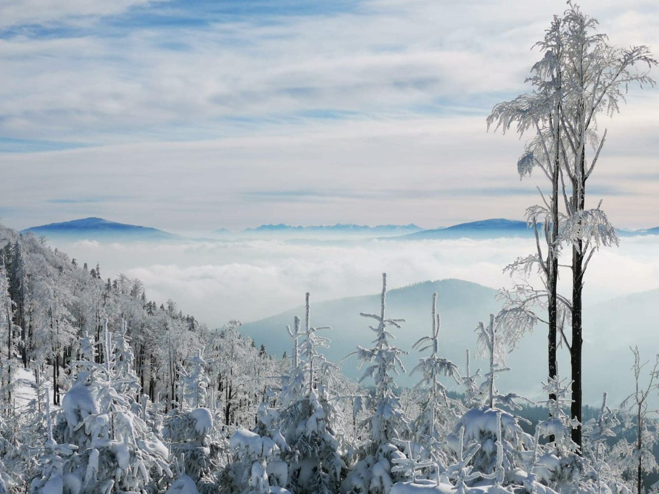 Beskidy. W górach znów zrobiło się biało i mroźno.