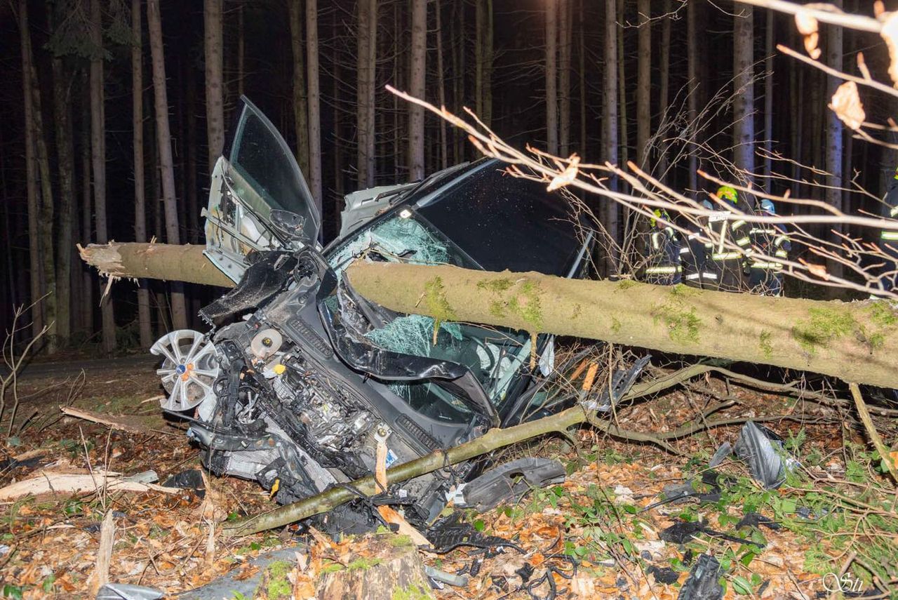 Cudem uniknęła śmierci. Drzewo przewierciło się przez samochód