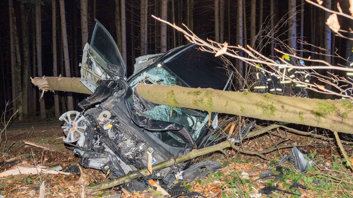 Wypadek w Austrii – samochód nabity na przewrócone drzewo