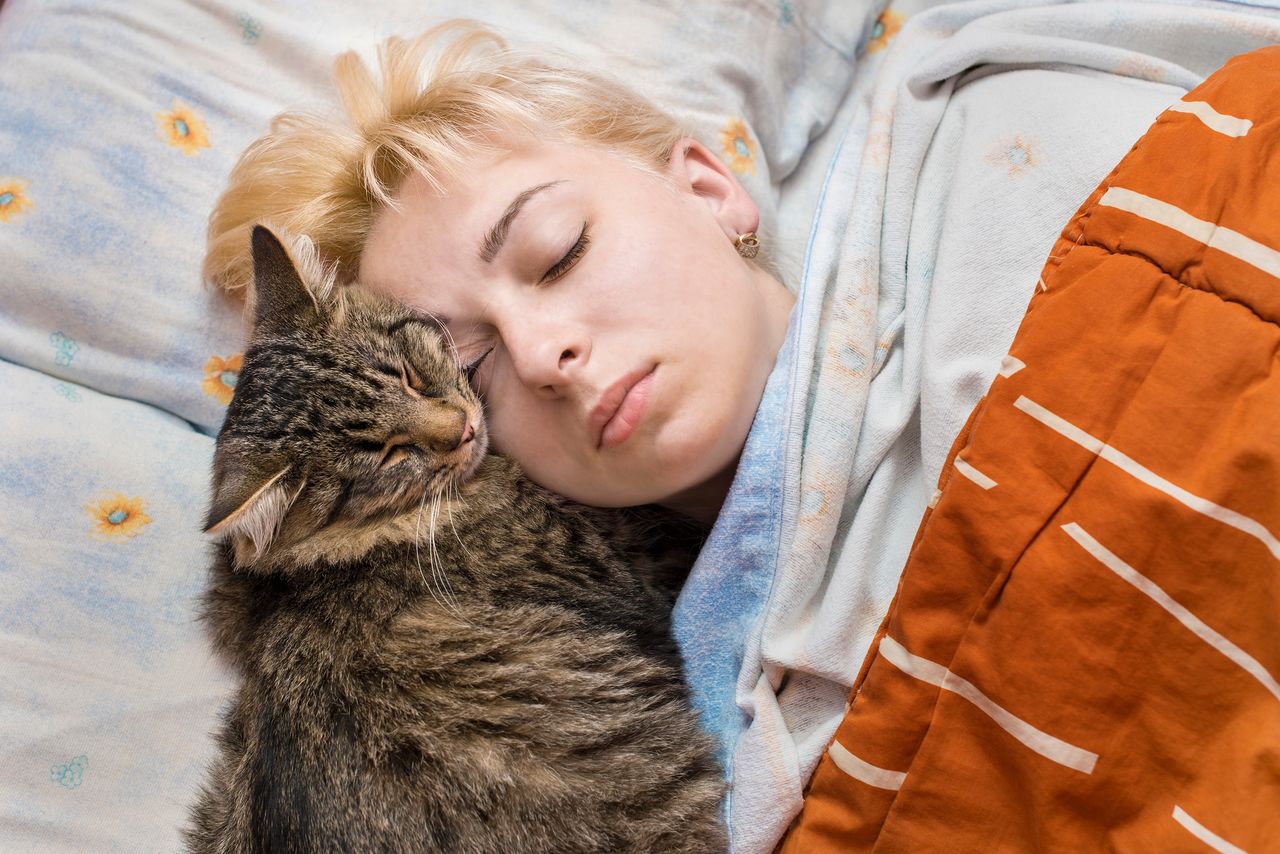 Does the cat wake you up at night? It doesn't do it maliciously.