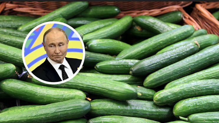 Ogórki z Rosji są dostępne w Polsce 