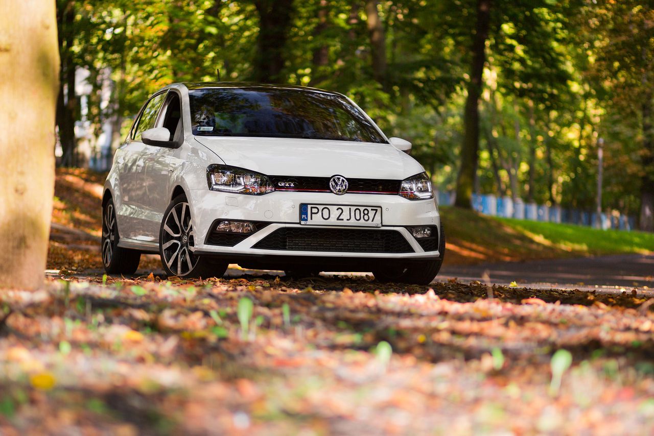 Volkswagen Polo GTI - test [wideo]