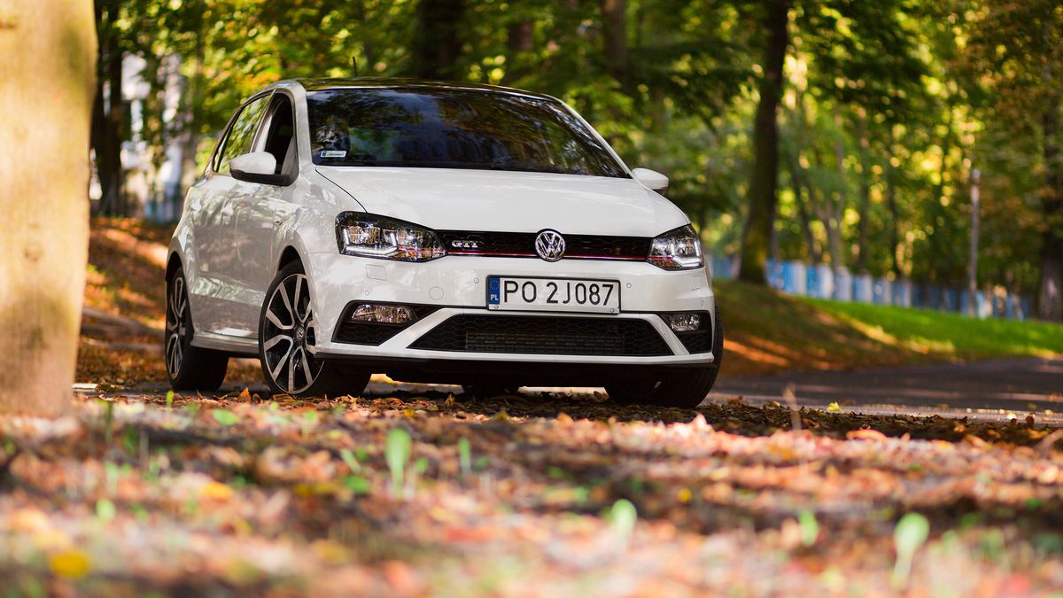 Zdjęcie ilustracyjne do artykułu