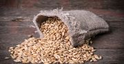 Jęczmień obniża poziom cukru we krwi i zmniejsza apetyt
