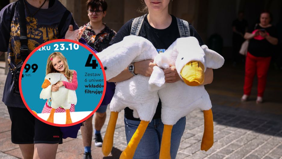 Gęś Pipa w popularnym marekcie