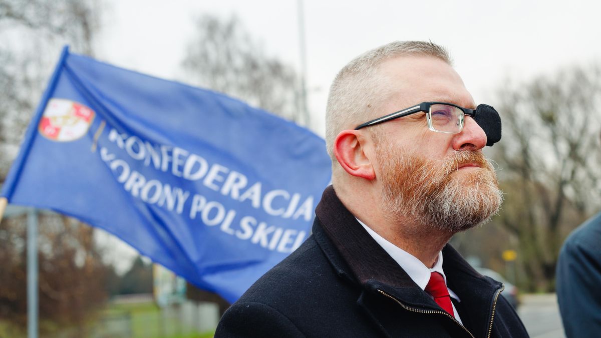 Grzegorz Braun
Art Service
KL Auschwitz, Konfederacja Korony Polskiej, konferencja, politycy, polityk polityka, Polska historia, Niemiecka zbrodnia i �ydowskie k�amstwo, �wirowisko