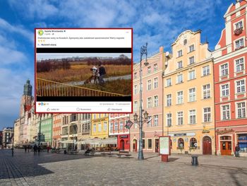 Atak agresywnego psa. Pogryzł owczarka i człowieka