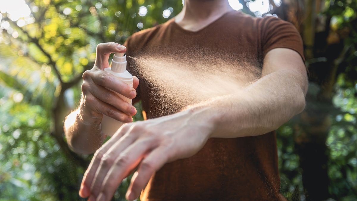 Denga to tropikalna choroba infekcyjna, którą przenoszą komary