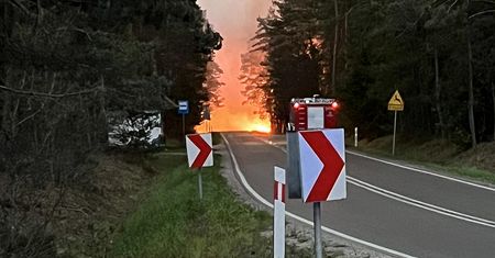 Tragedia podczas gaszenia pożaru. Spadł samolot, pilot nie żyje