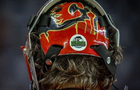 Z reklam na kaskach zespoły NHL zarobią 15 mln dolarów