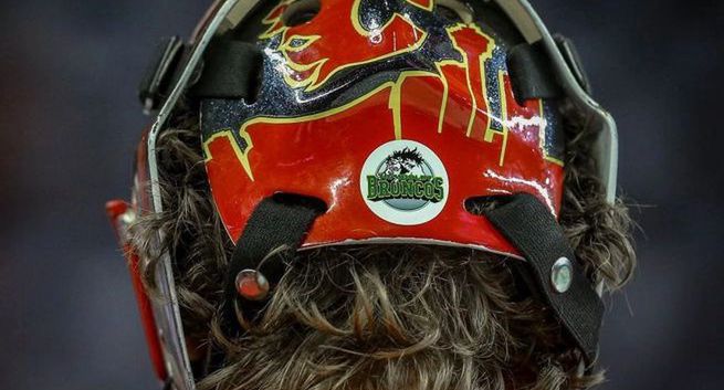 Z reklam na kaskach zespoły NHL zarobią 15 mln dolarów