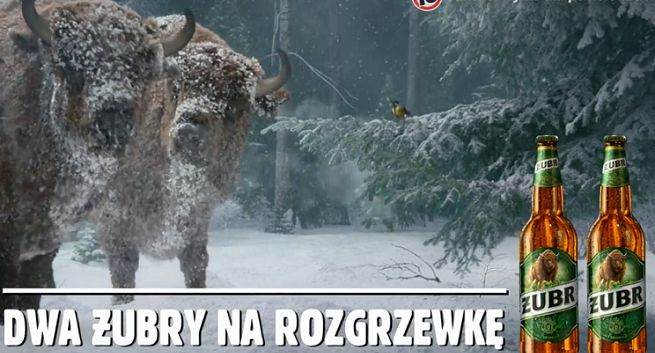 „Dwa Żubry na rozgrzewkę” w reklamie piwa Żubr (wideo)