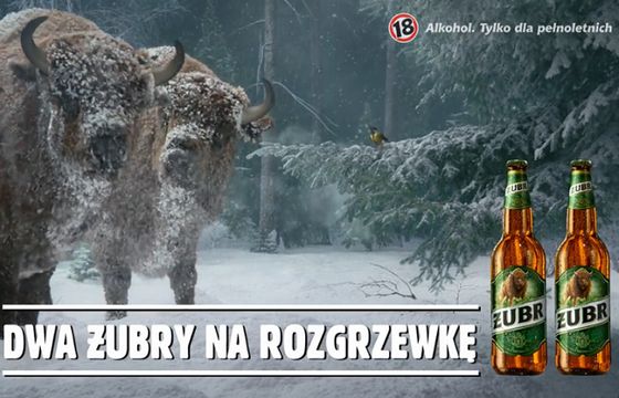 „Dwa Żubry na rozgrzewkę” w reklamie piwa Żubr (wideo)