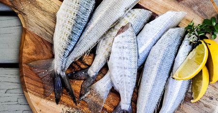Dieta karniwora. Nowy trend bez węglowodanów