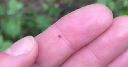 Pokazali takie zdjęcie. W Małopolsce sieją spustoszenie
