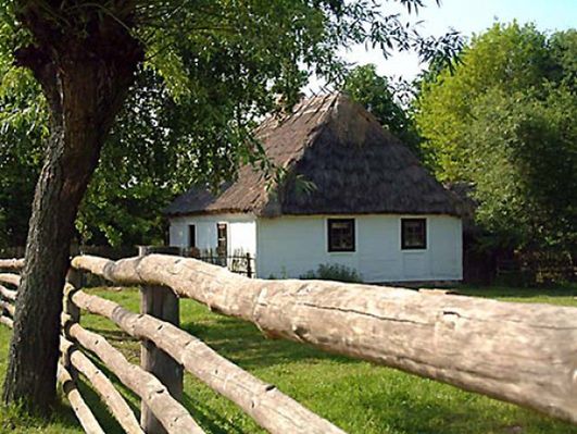 Obraz