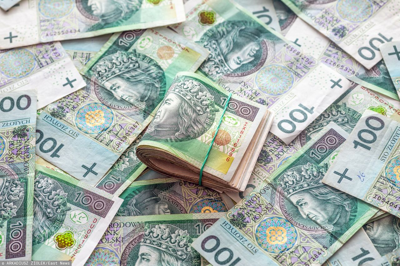 Na co Polacy wydaliby 5 tys. zł? Oto marzenie nr 1