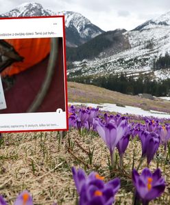 Podwyżka o prawie 100 proc. Szok w Tatrach