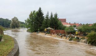 Koń we wzburzonym nurcie. Płynął z Czech